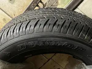 285/60r18 Dunlop Tire