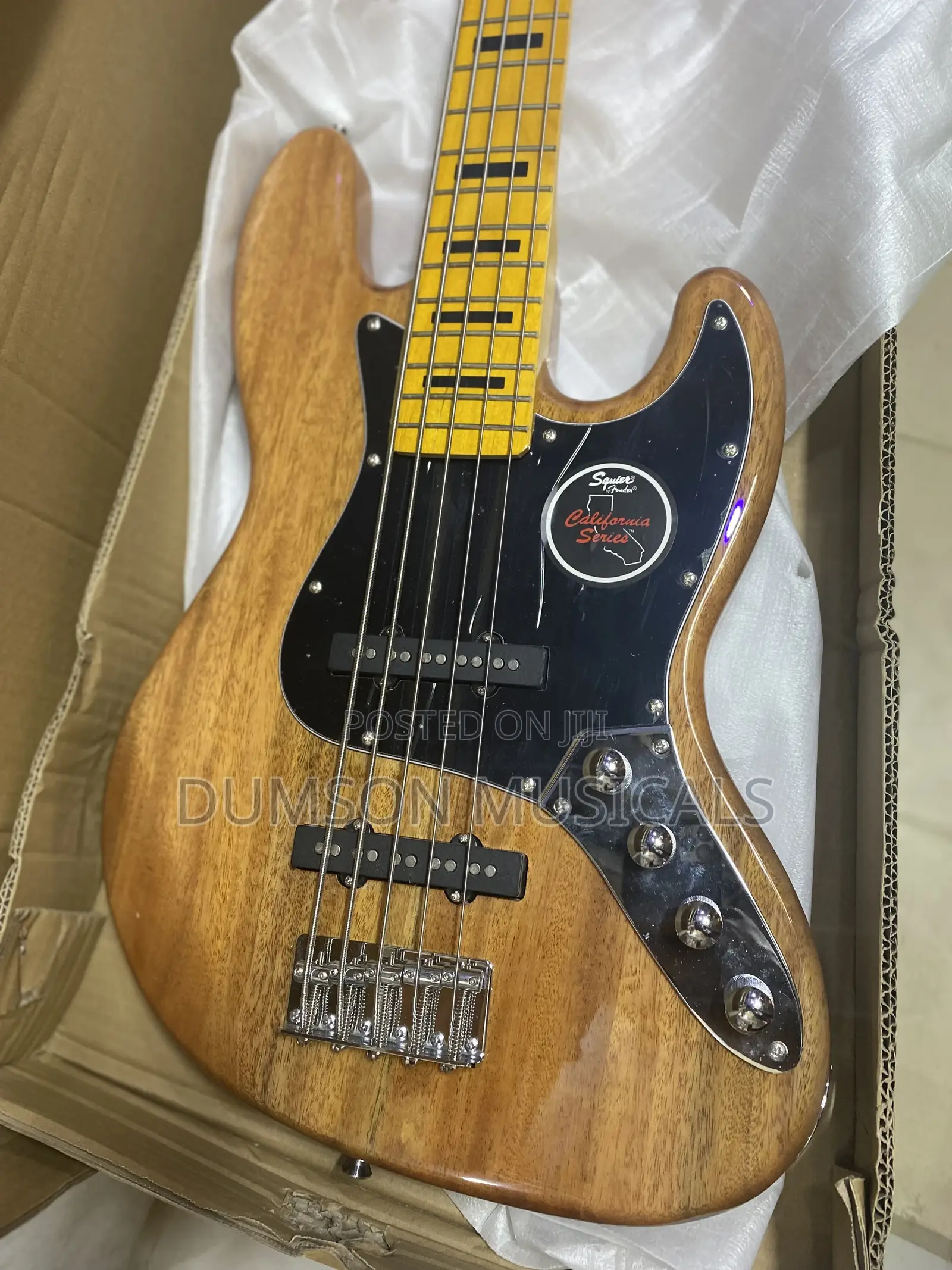 Fender Squire Active 5 Strings Bass Guitar 