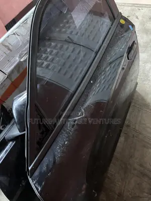 Doors Dodge Charger