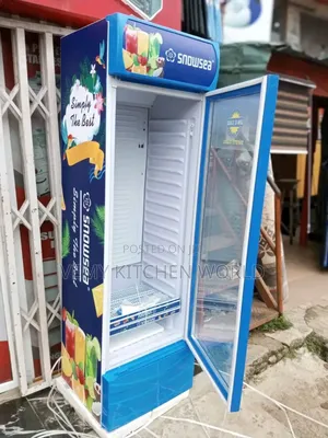 300liters Chiller Snowsea