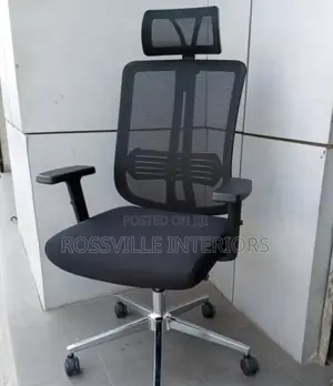 Executive/Ergonomic Swivel Office Chair