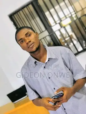 Software Developer