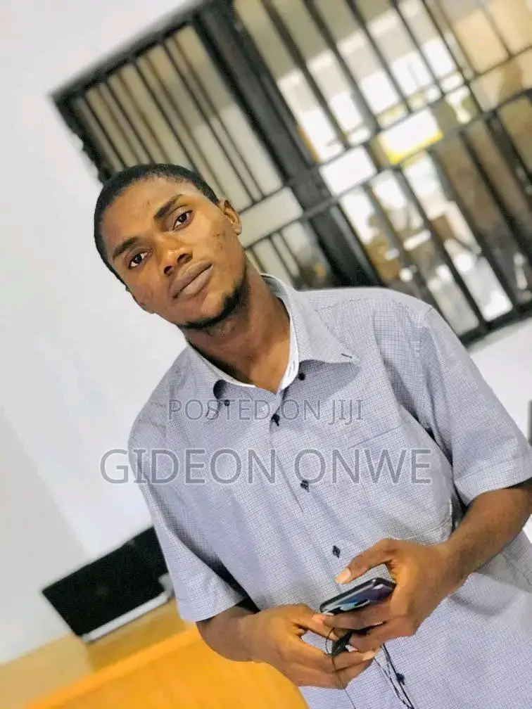 Software Developer