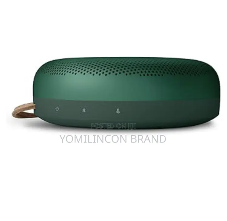 Bang & Olufsen Beosound A1 (2nd Generation)