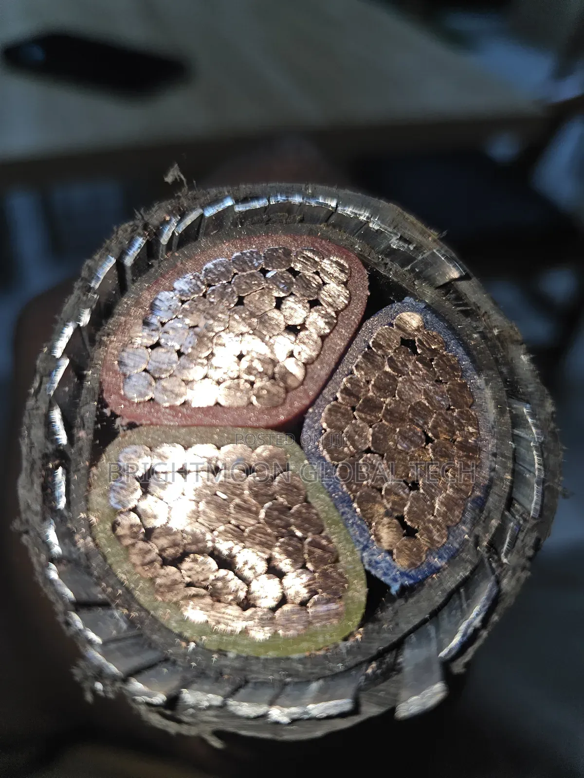 300mm 3core Armored Cable