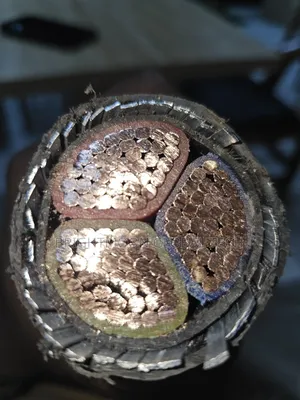 300mm 3core Armored Cable