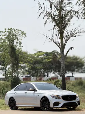 Mercedes-Benz E53 AMG AMG E 53 4MATIC+ 2020 Silver