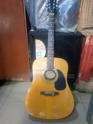 Acoustic Box Guitar