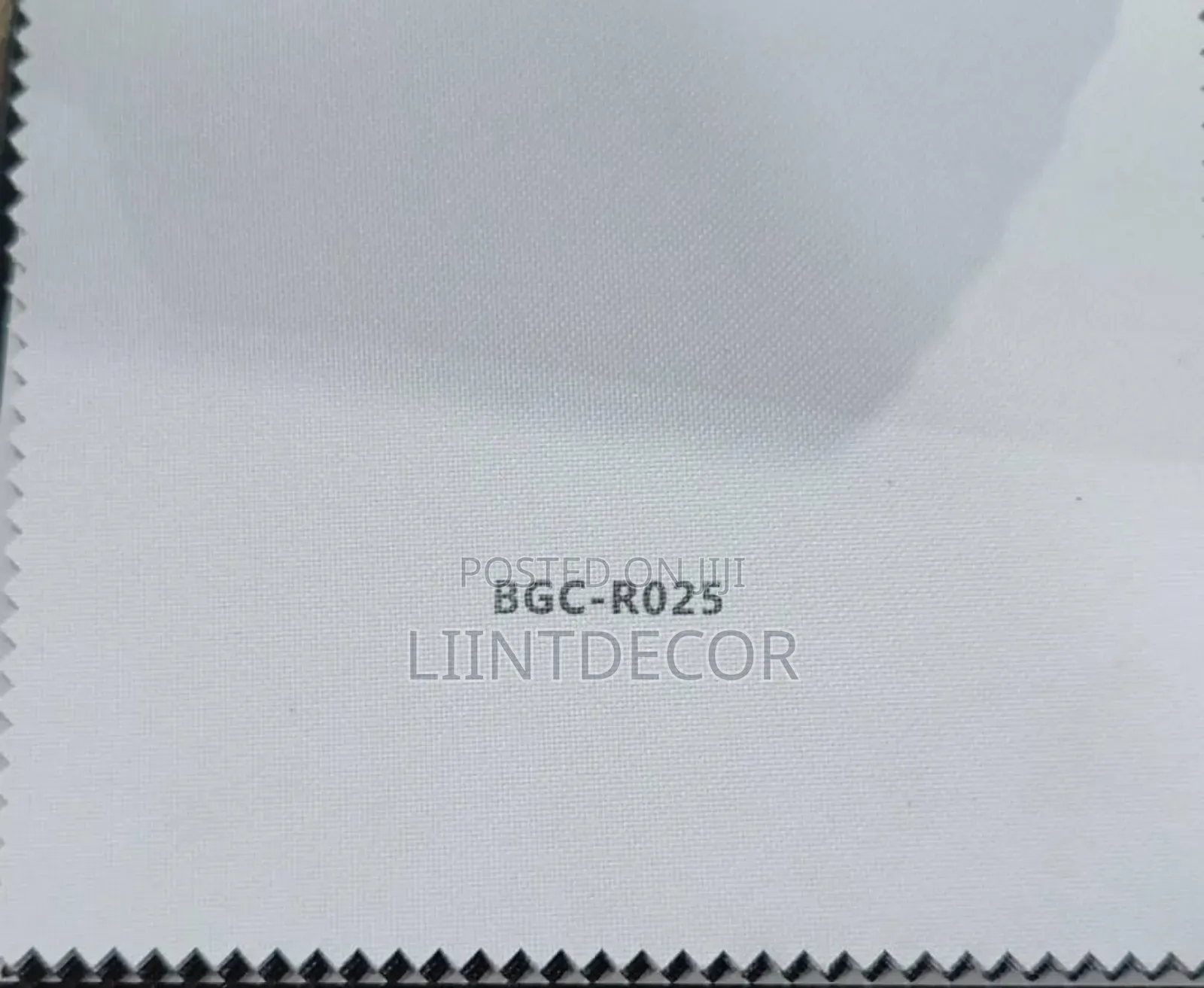High Grade Roller Shade (Price Not the Same for All Windows)