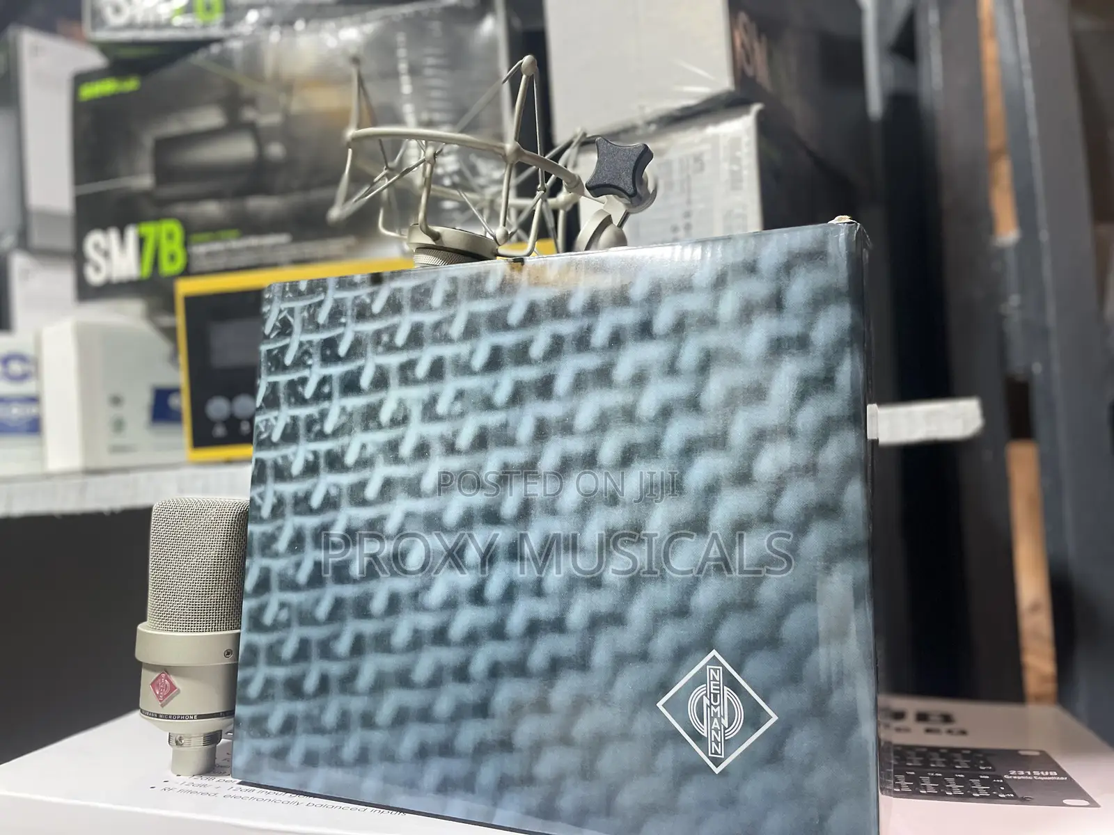 Neumann Studio Mic TLM-103