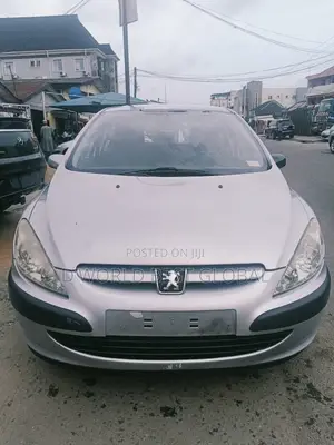 Peugeot 307 2006 Silver