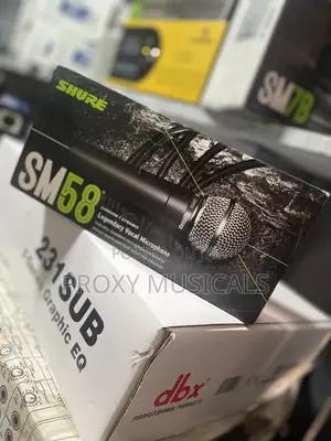 Shure Sm58 Wired Mic