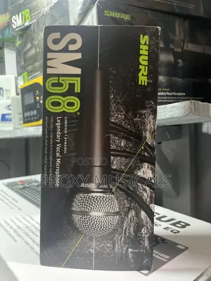 Shure Sm58 Wired Mic
