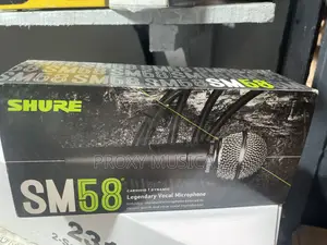 Shure Sm58 Wired Mic