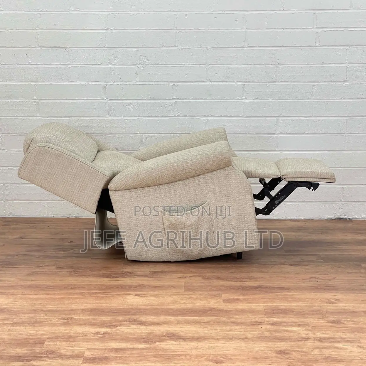 Riser and Recliner Chair