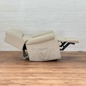 Riser and Recliner Chair