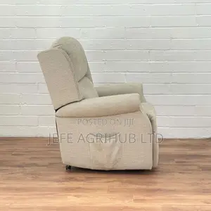 Riser and Recliner Chair