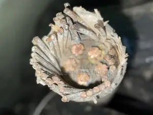 6mm 5core Amord Available