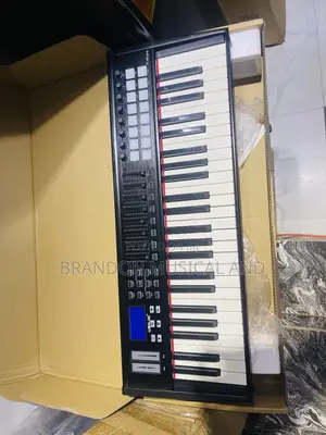 49 Keys Worlde Professional Studio Midi Keyboard