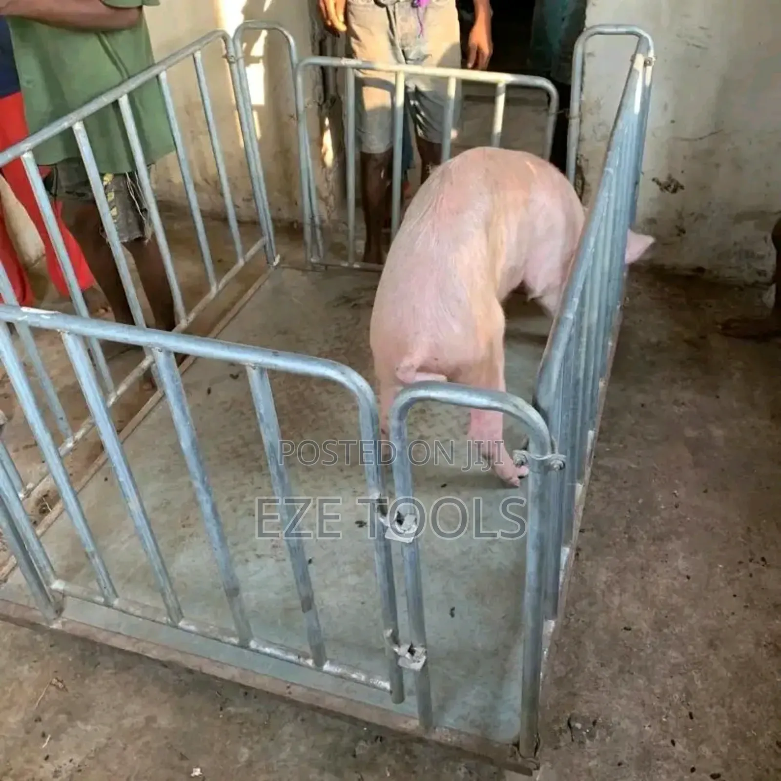 3000kg Animal Scale