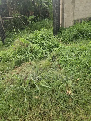 Available Land for Sale Behind DSS Office Alalubosa Ibadan