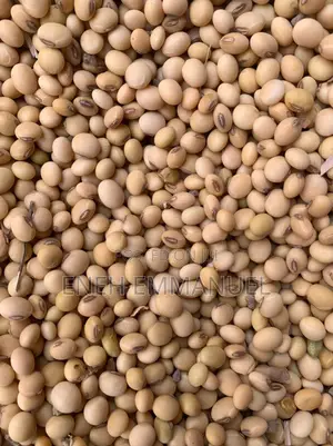 Soya Beans