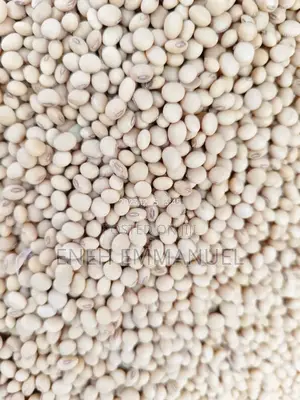Soya Beans