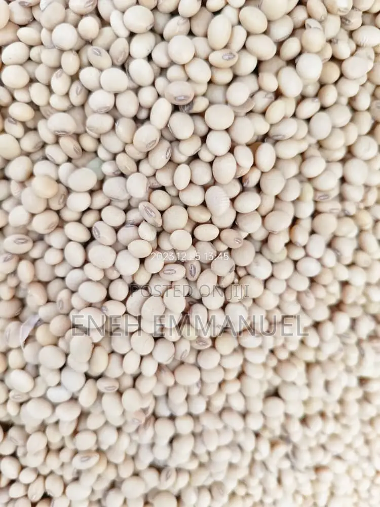 Soya Beans
