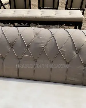 Professional Cleaning Services