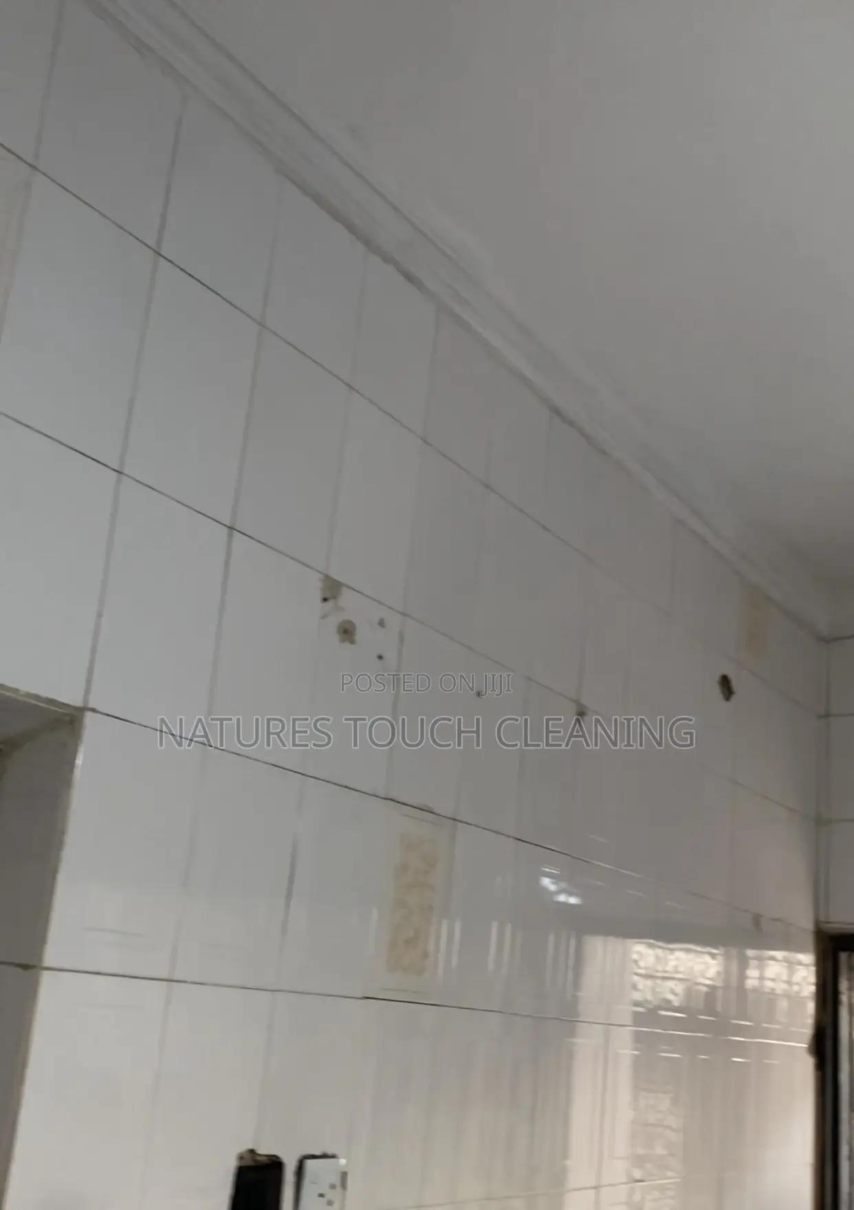 Professional Cleaning Services