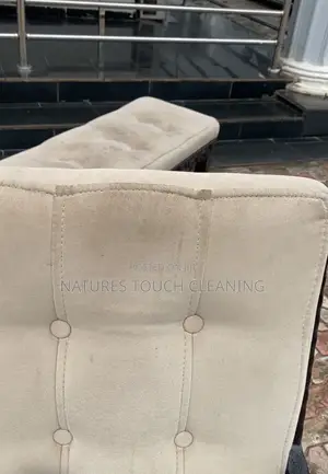 Professional Cleaning Services