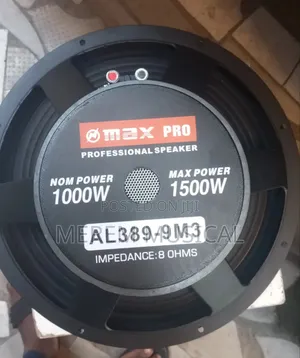15" O Max Pro Speaker