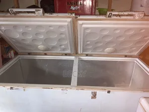 Fairly Used Double Door Freezer