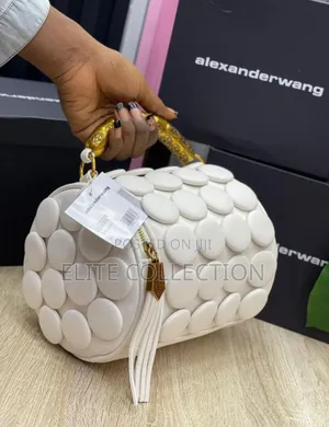 Original Luxury Alexander Wang Bag  Color: Multi Color