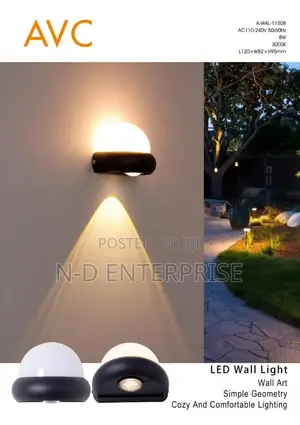 Led Outdoor Light