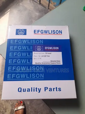 Back Oil Seal Ecoplus Original Oil New One Working Perfectly