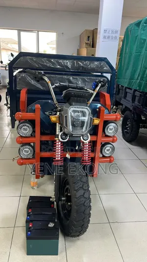 New Tricycle 2025 Blue