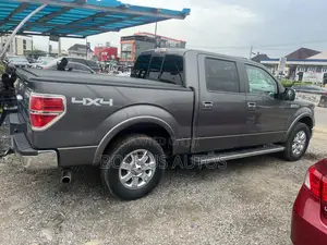 Ford F-150 XLT 2013 Gray