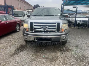 Ford F-150 XLT 2013 Gray