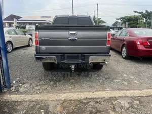 Ford F-150 XLT 2013 Gray