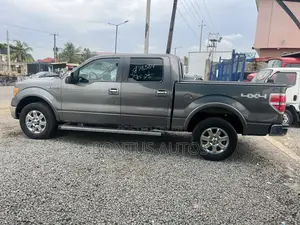 Ford F-150 XLT 2013 Gray
