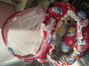 Reversible Baby Bed With Pillow and Net