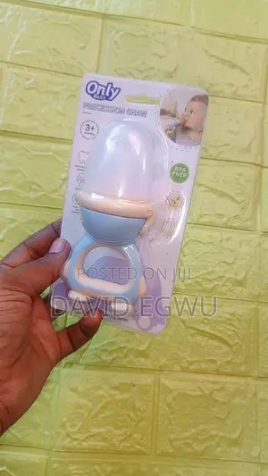 Fruit Dispenser/Pacifier
