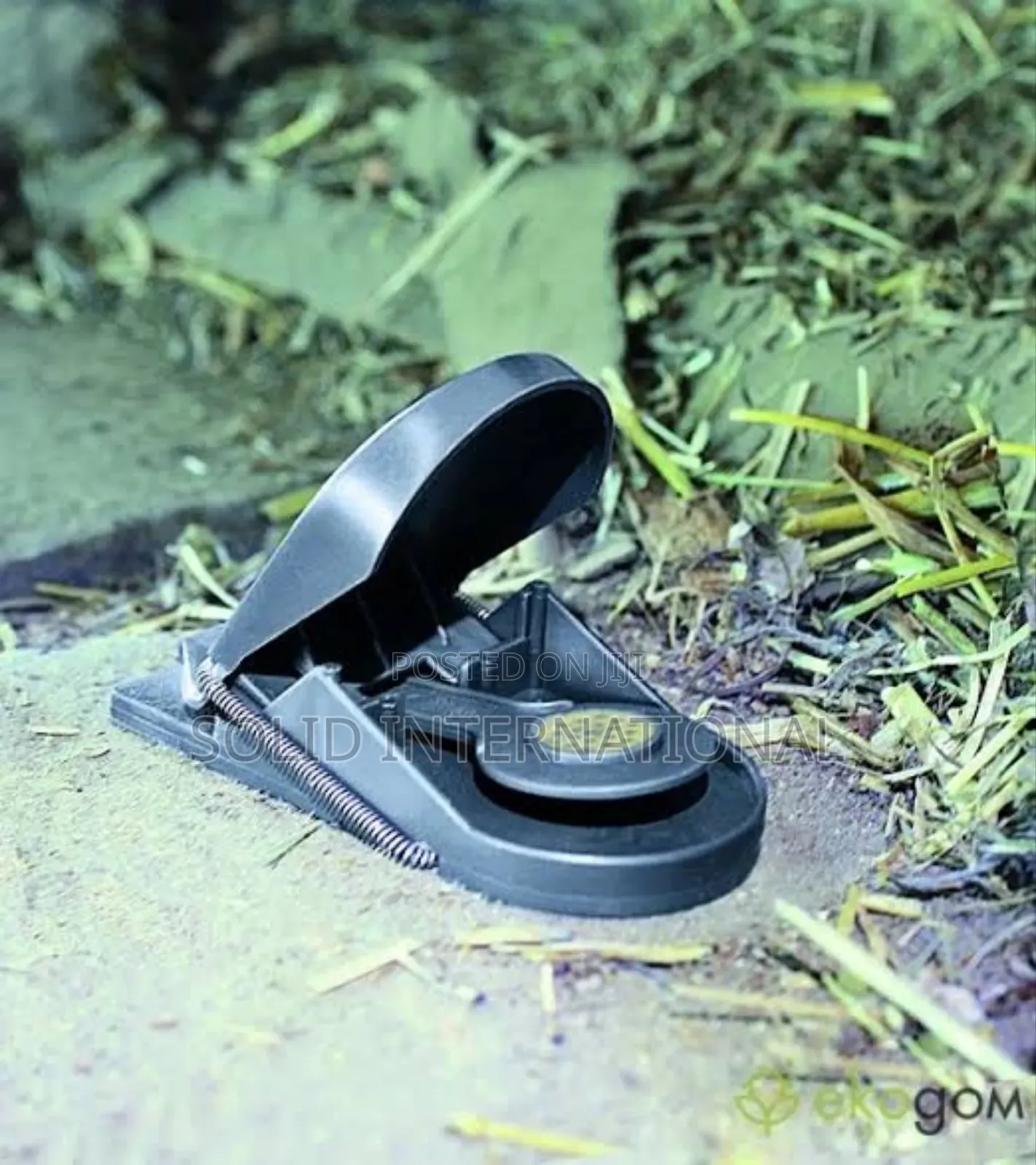 Re-Useable Rat/Mouse Trap