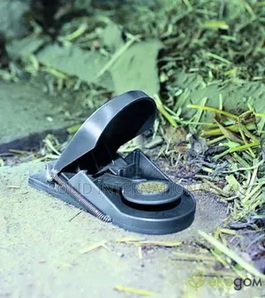 Big Size Re-useable Rat/Mouse Trap