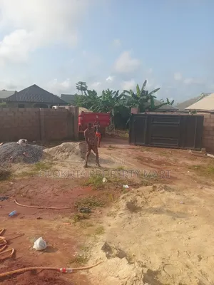 White Plaster Sand and Sharp Sand