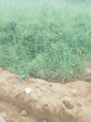 Very Standard Well Located Land