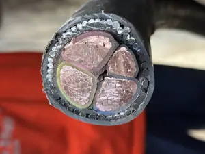 120mmx3 and Half Core Copper Armored Cable