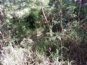 1500sqm Residential C Of O Plot At Kyami Aviation