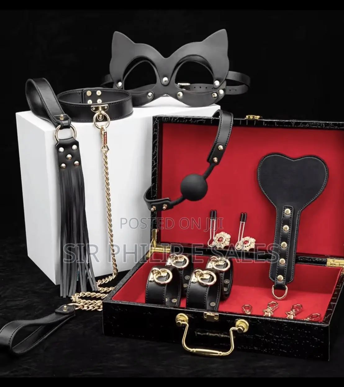 Luxury Suite Case BDSM Kits